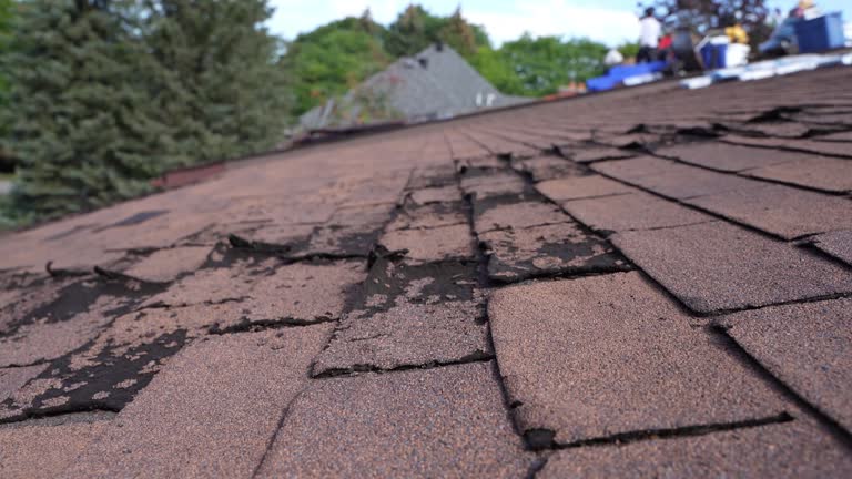 Best Roofing for New Construction  in Waynesboro, PA